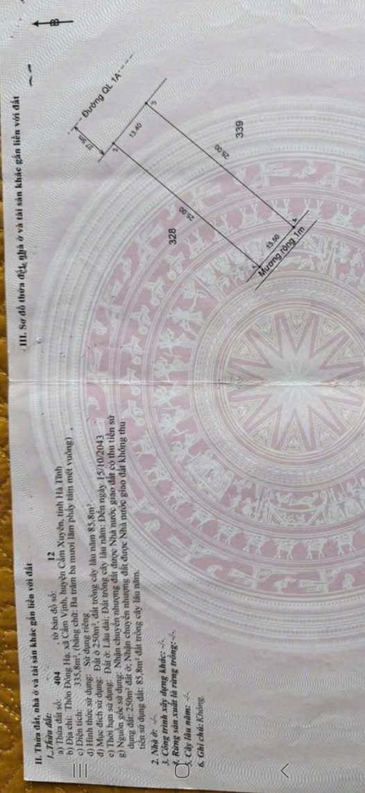 Cơ hội sở hữu "siêu phẩm" đất nền tại vị trí đắc địa 1A Cẩm Vịnh, ngay trước dự án sầm uất