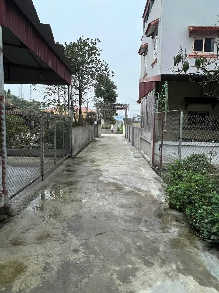 Bán đất thổ cư 62m2 tại thôn Xuân Tảo, Yên Mỹ, tiềm năng tăng giá mạnh