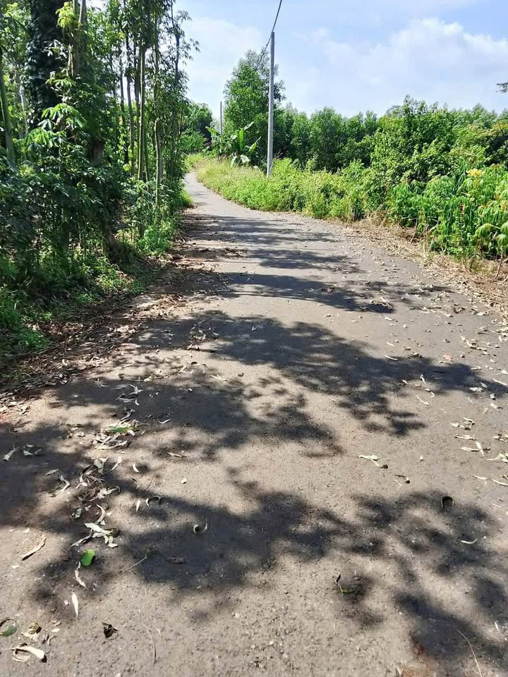 Đất 5 sào bằng phẳng tại Bình Trung, Phú Mỹ - Đầu tư sinh lời