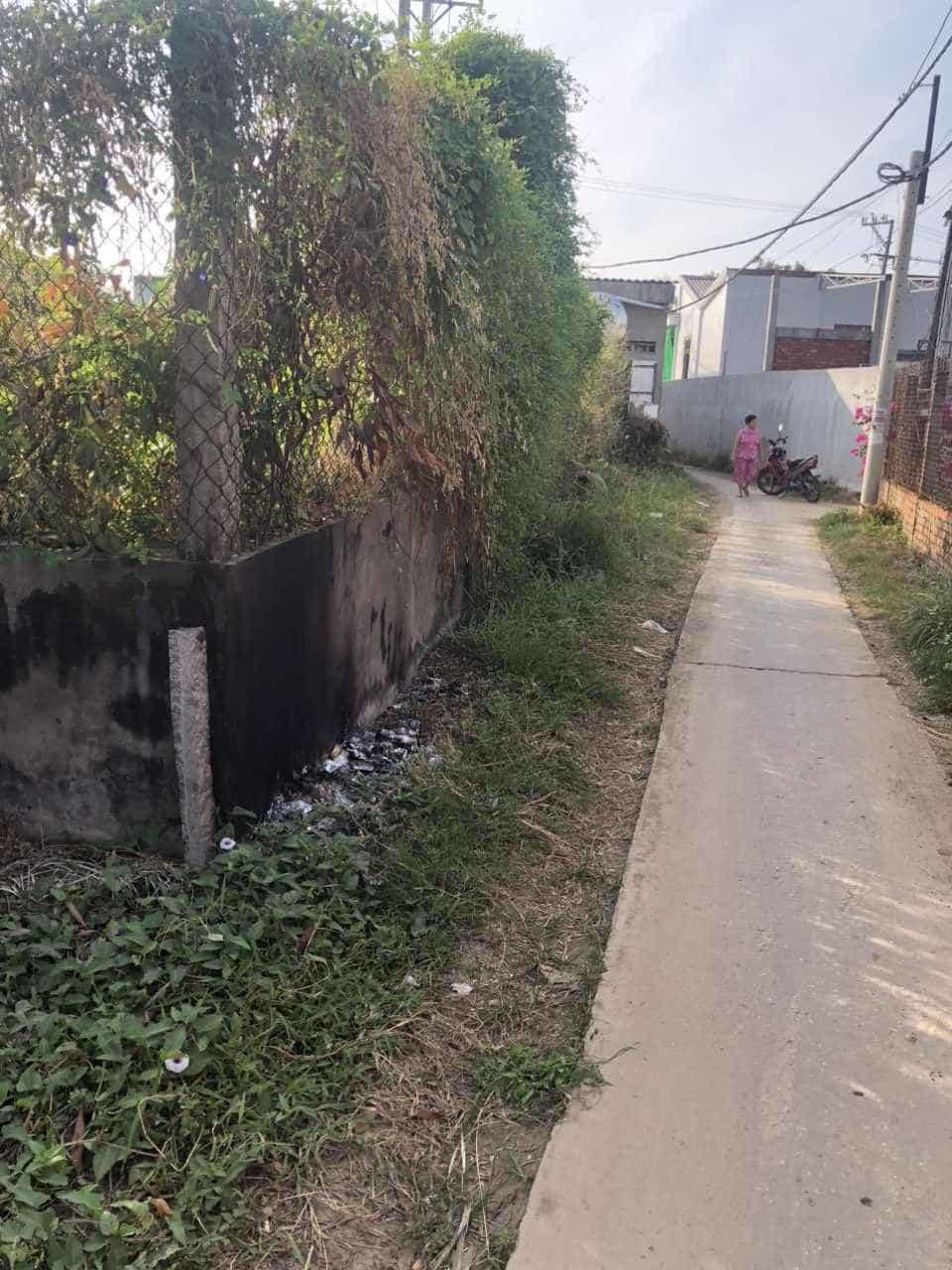 Bán đất nền chính chủ, ngang 8m, gần đường nhựa tại Ba Tri, Bến Tre