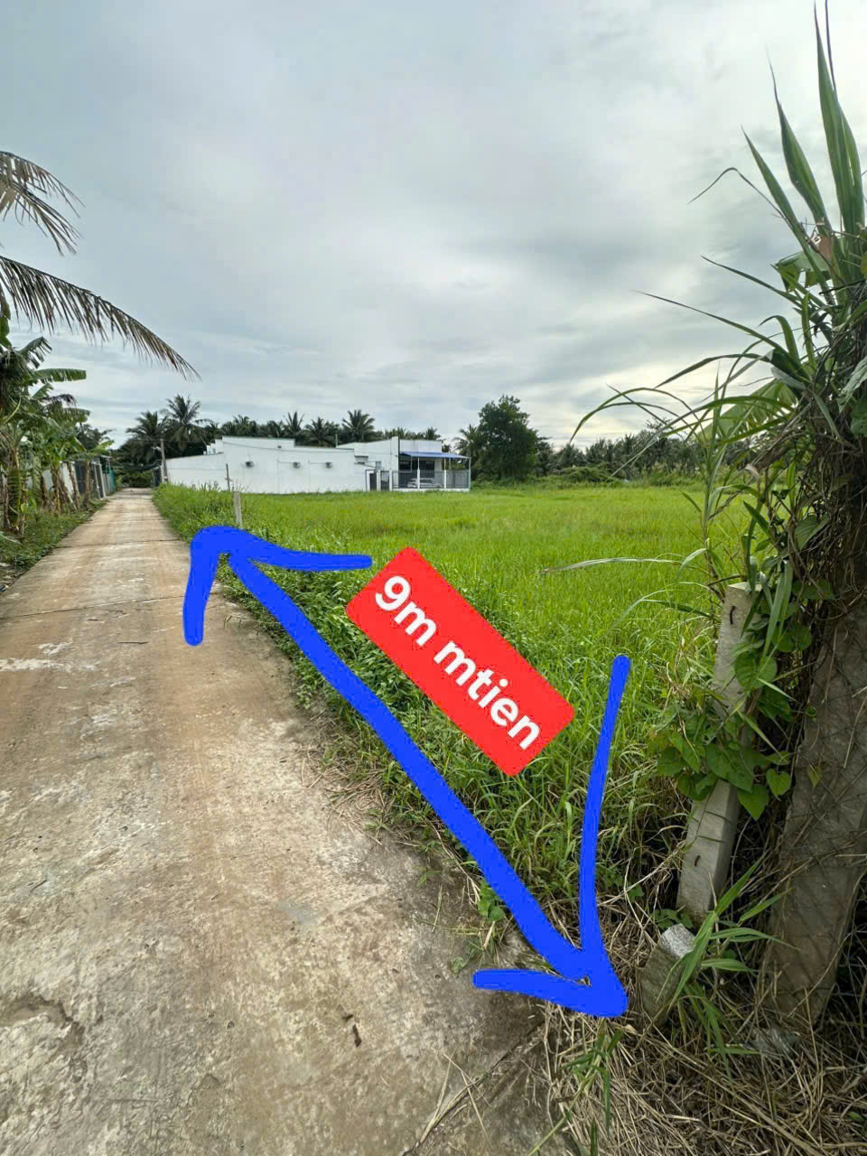 Siêu phẩm đất nền hiếm hoi tại hường Phú Tân, Bến Tre