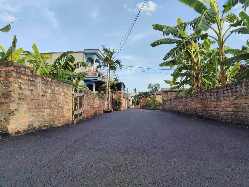 Đất vàng 100m2 thổ cư, mặt tiền 6m cực đẹp tại thôn Cánh Chủ, gần Hòa Lạc