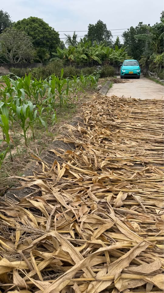 Đất nền Hà Nam giá dưới 1 tỷ, đầu tư siêu lợi nhuận, an cư bền vững