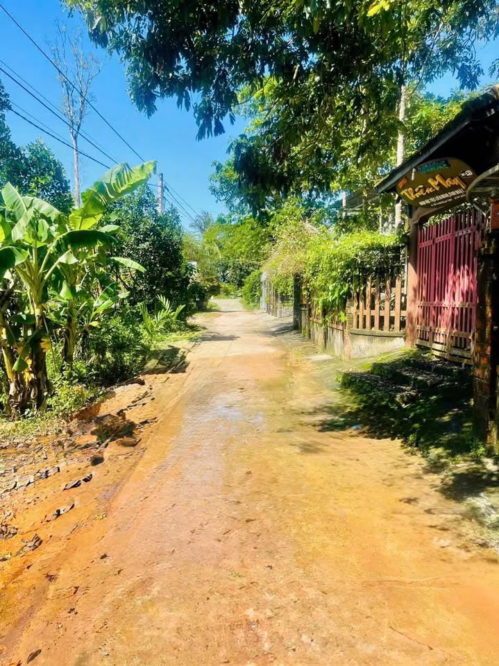 Tọa lạc tại kiệt 293 Trưng Nữ Vương, thành phố Huế, mảnh đất nền này mang đến một bức tranh an cư lý tưởn