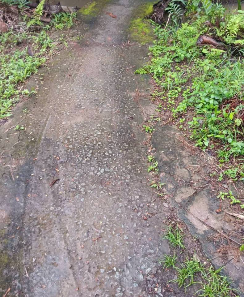 Đất vàng Phong Mỹ vuông vức, sẵn nền, giá hời