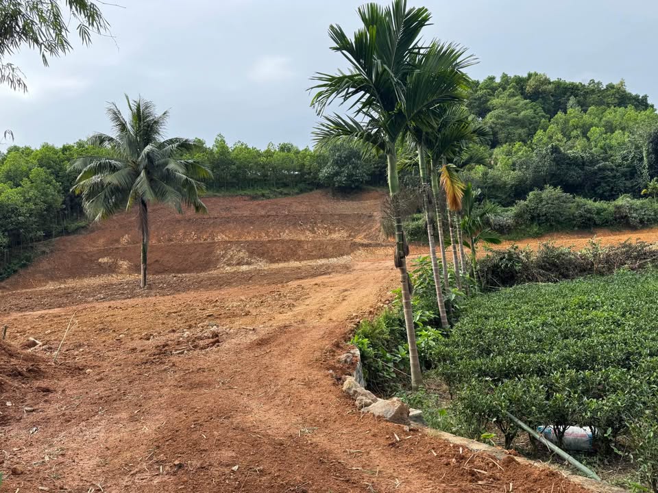 Siêu phẩm đất vườn 4000m2 - chỉ nhỉnh 2 tỷ - ô tô tận nơi