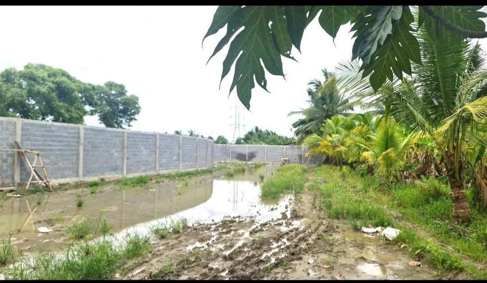 Cần bán gấp 1250m² đất tại xã Phước Thạnh, thành phố Mỹ Tho, tỉnh Tiền Giang