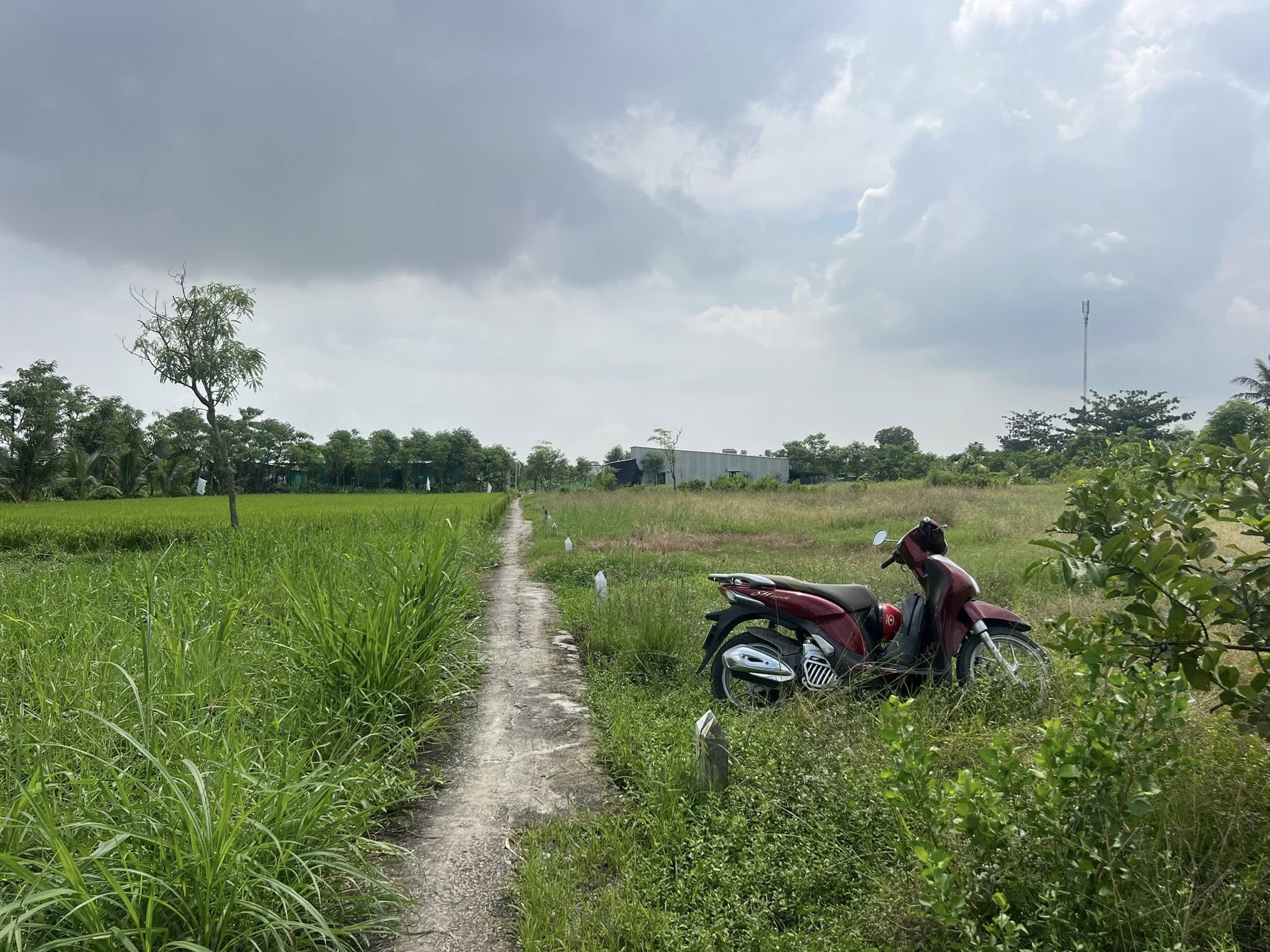 Bán đất vuông vắn 165m² mặt tiền 5m tại Gò Công, Tiền Giang