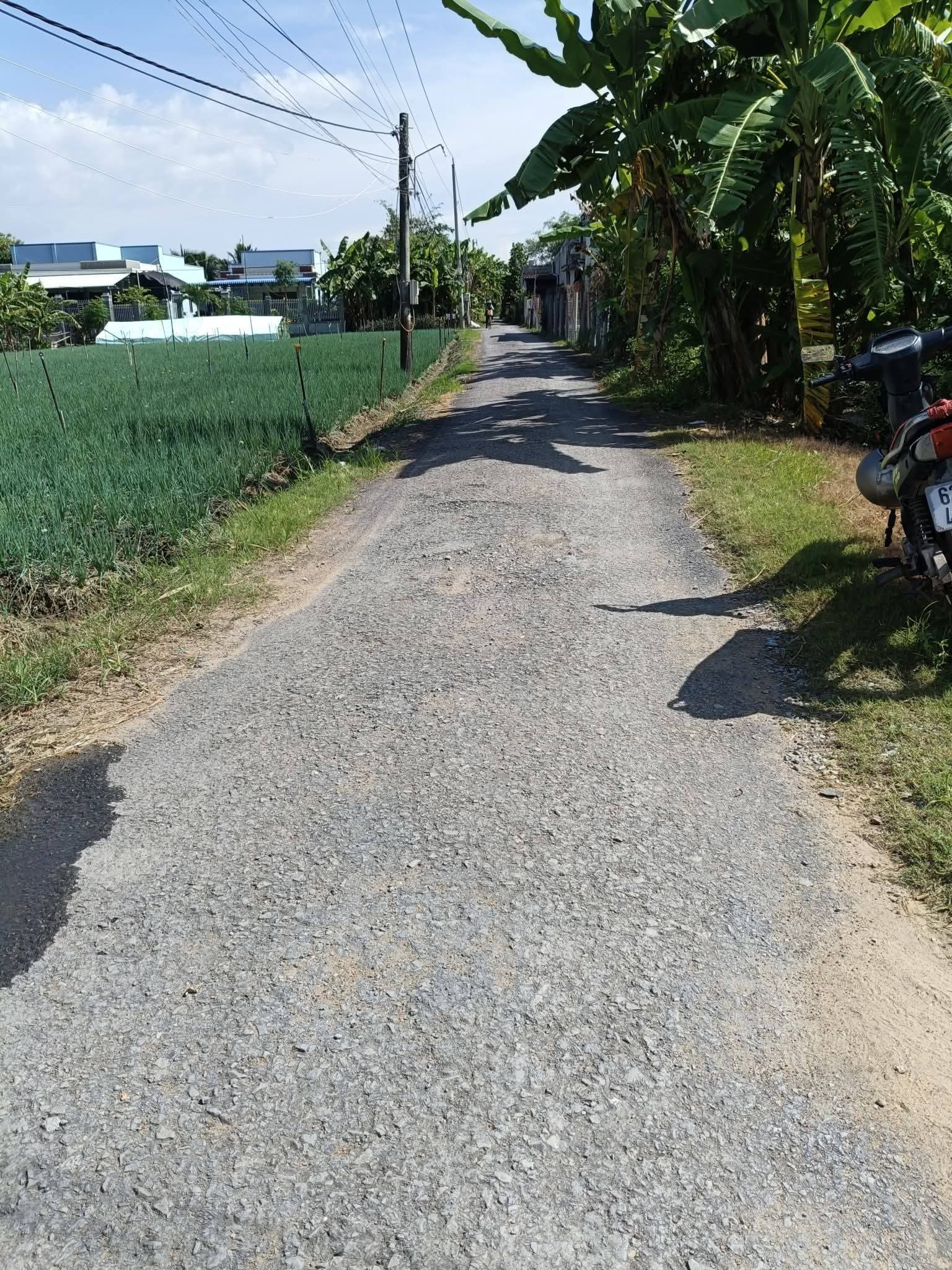 Đất Gò Công Đông, Tiền Giang, 1400m2 giá chỉ 400 triệu, khu dân cư đông đúc