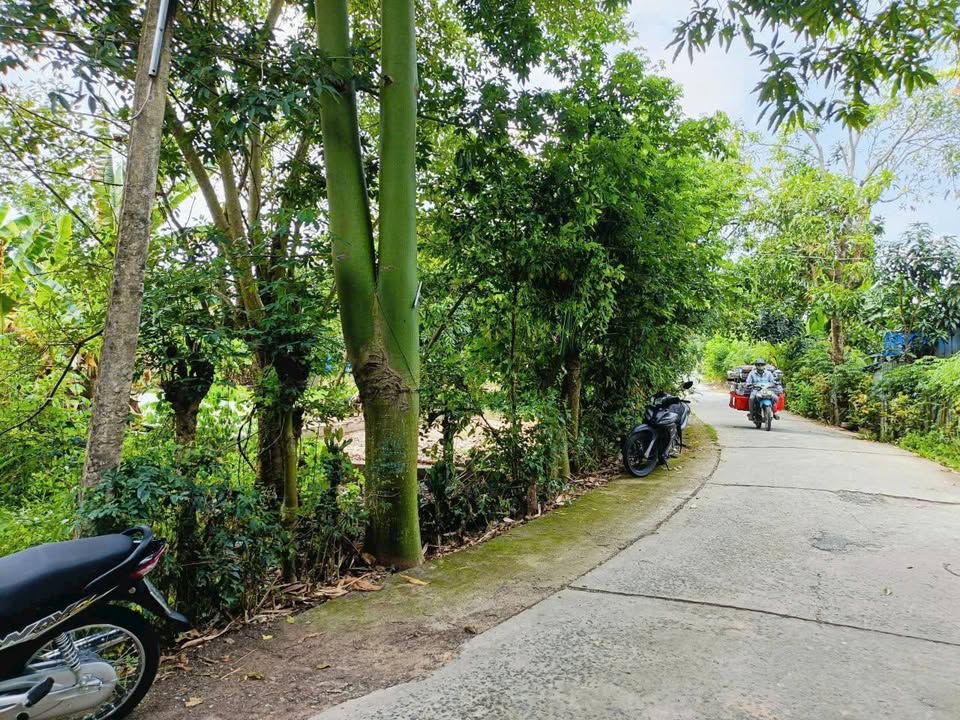 Bán nền đẹp 305,7m² mặt tiền đường Mai Văn Khải, Cao Lãnh