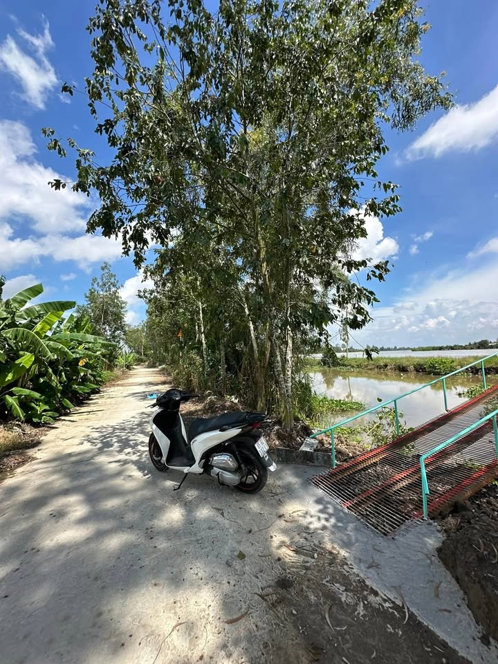 Chính chủ gửi bán lô đất 1.000m2 cực đẹp, vuông vắn với kích thước 24m x 40m, tọa lạc tại xã Đông Thuận