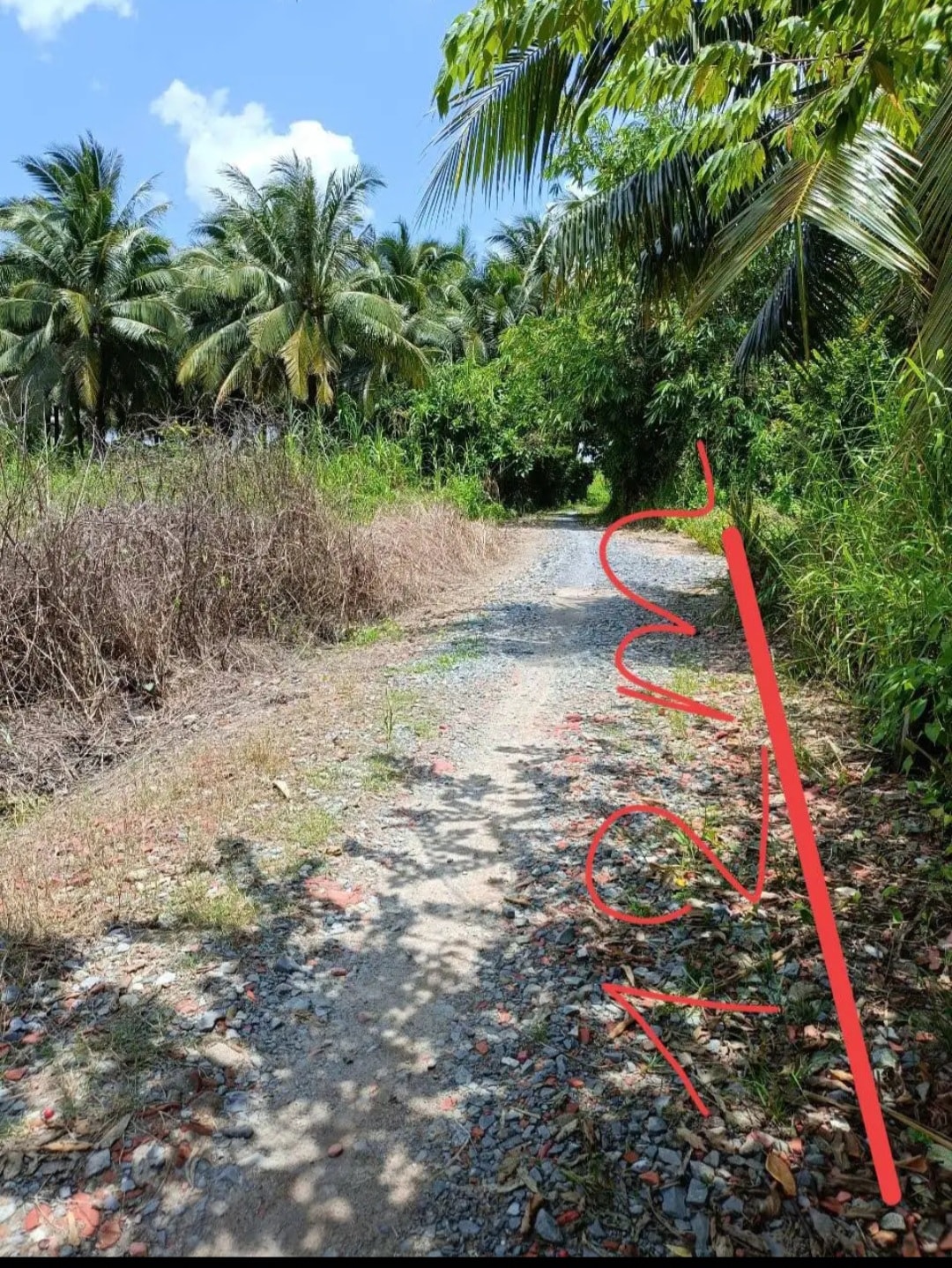 Bán đất rẻ bất ngờ 265m² tại phường Phú Tân, Bến Tre chỉ 440 triệu