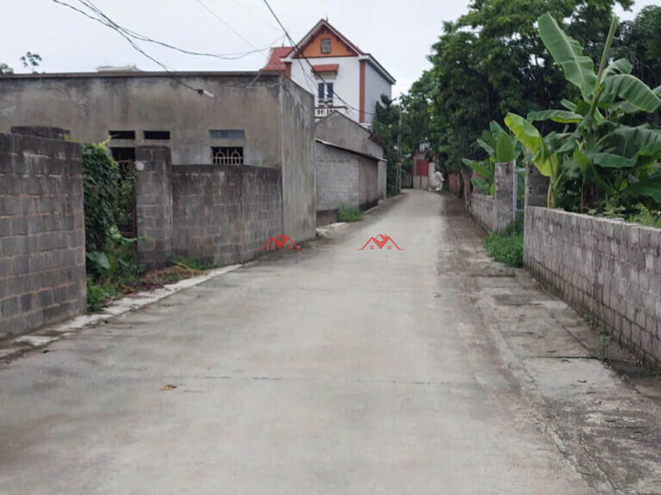 Cơ hội vàng cho các nhà đầu tư thông thái