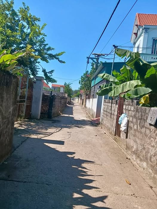 Bán đất vuông đẹp 50m² mặt tiền 4,02m, ô tô vào tận đất tại Chương Dương, Thường Tín