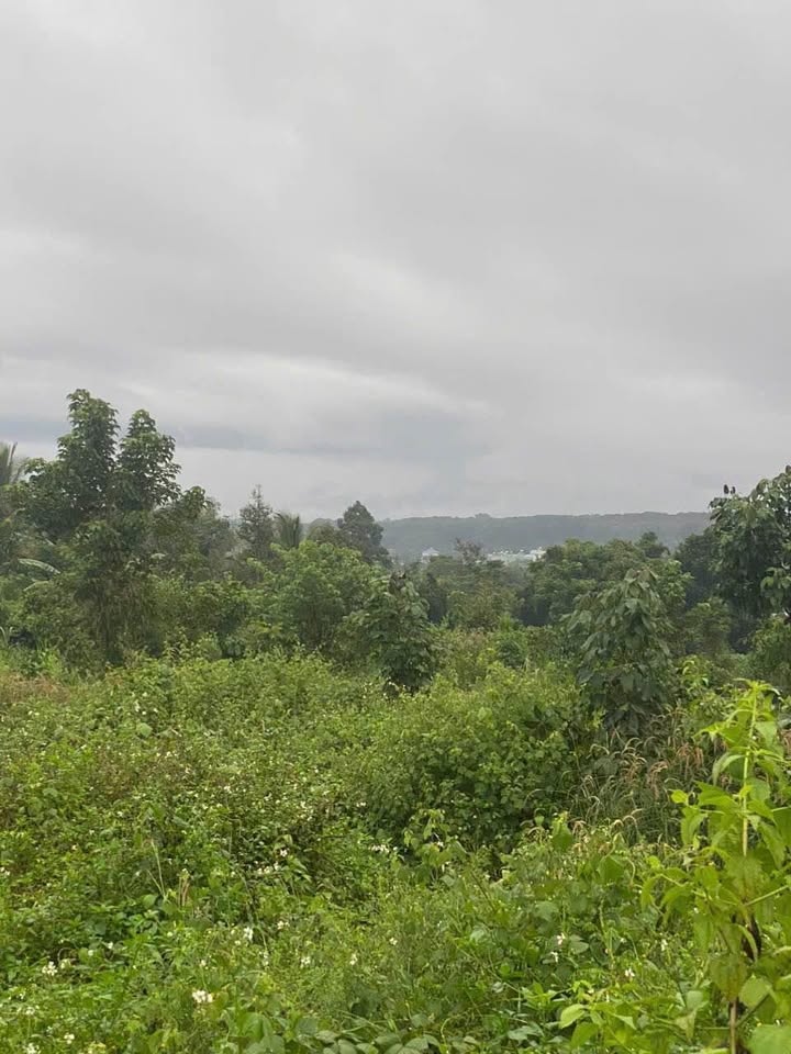 Đất Komleo, trục chính đường nhựa to, giá bao đầu tư 2 tỷ 680 triệu