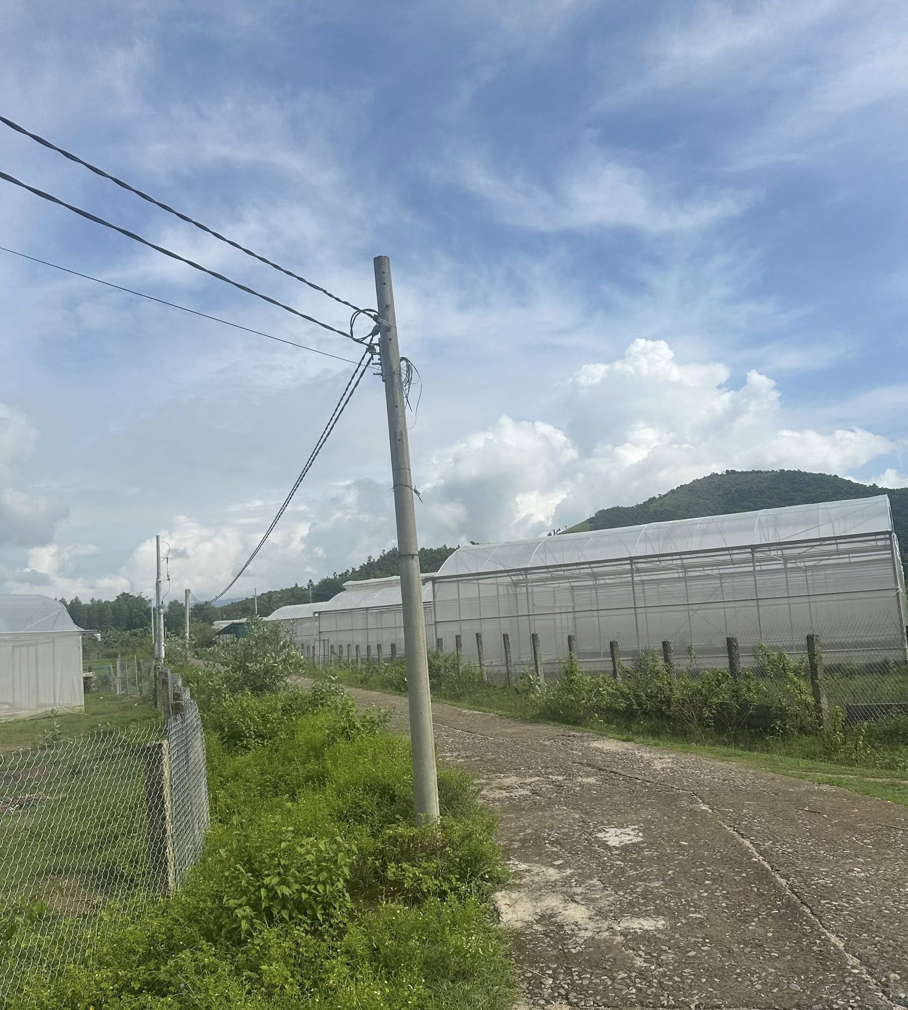 Mở ra một không gian sống và kinh doanh đầy tiềm năng với 3ha đất