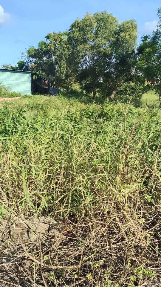 Bán lô đất mặt tiền đường số 18 Tam Phước, diện tích 110m2, 80m2 thổ cư