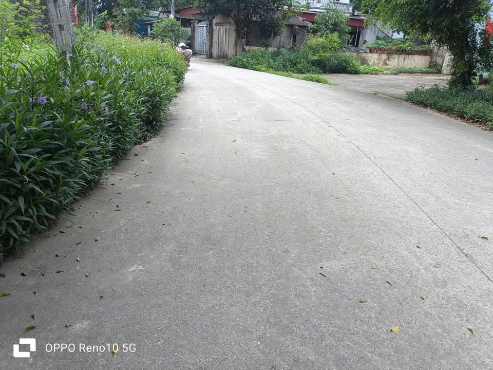 Cơ hội vàng sở hữu ngay 2 mảnh đất liền kề siêu đẹp tại trục chính đường nhà hàng Dê Hải An