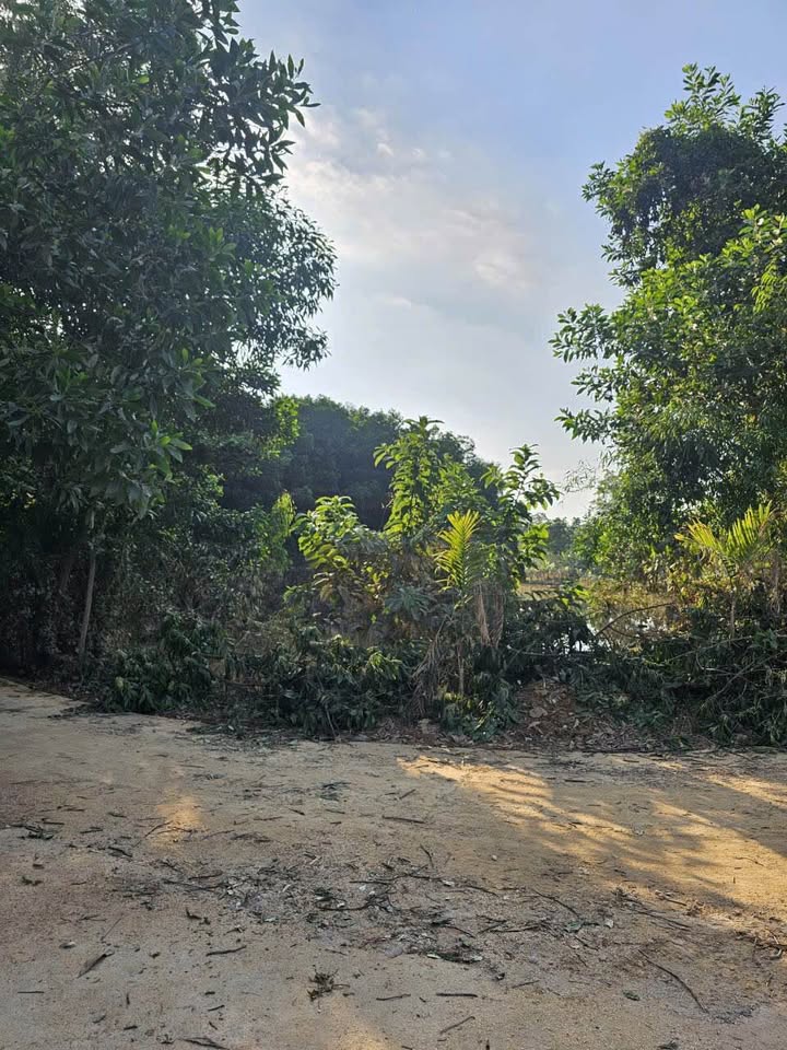 Đất view hồ Linh Sơn - xây biệt thự nhà vườn chill hết nấc