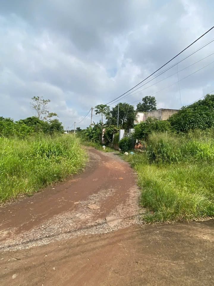 Đất Sông Trầu, Trảng Bom, ầu tư sinh lời, an cư lạc nghiệp