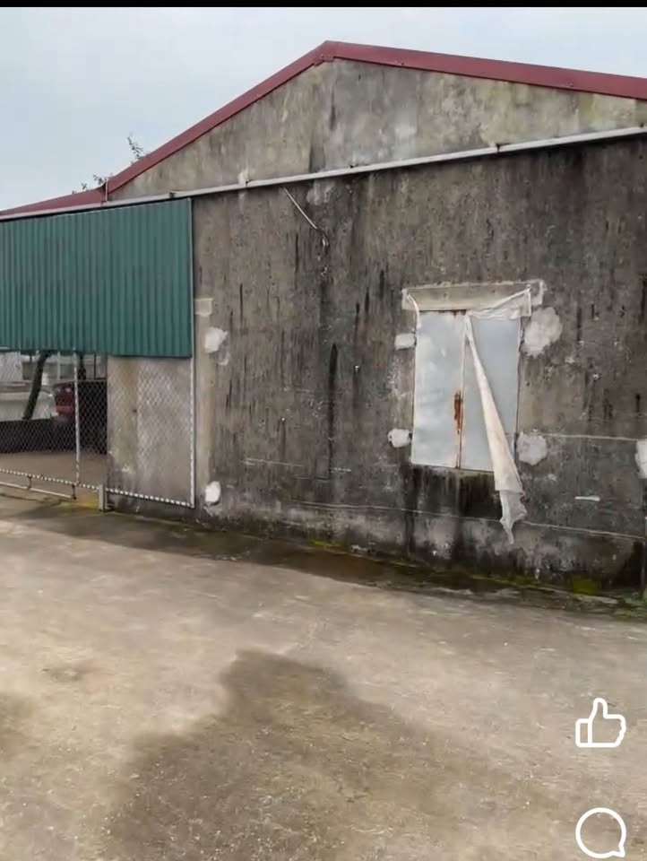 Đất rộng 700m² mặt tiền 40m, ngõ ô tô thông thoáng - Tiền Hải, Thái Bình