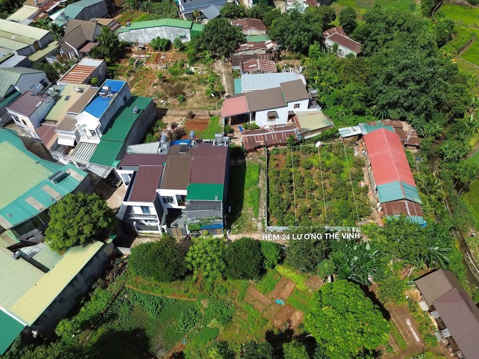 Cần bán 3 lô đất thổ cư 100% tại hẻm 24 Lương Thế Vinh, thành phố Buôn Ma Thuột, tỉnh Đắk Lắk