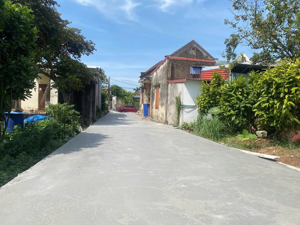 Đất vàng 50m2 Tự Lập, An Dương, oto đỗ cửa, giá chỉ 1.3 tỷ