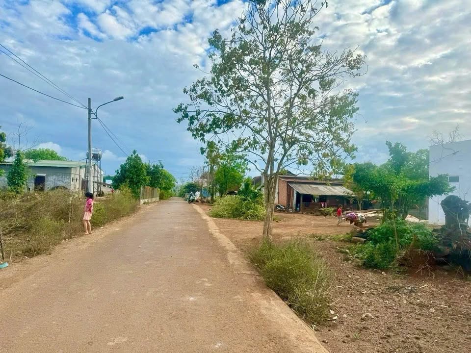 Bán đất vàng Buôn Ma Thuột 5x23m, mặt tiền đường nhựa, giá hời 536 triệu