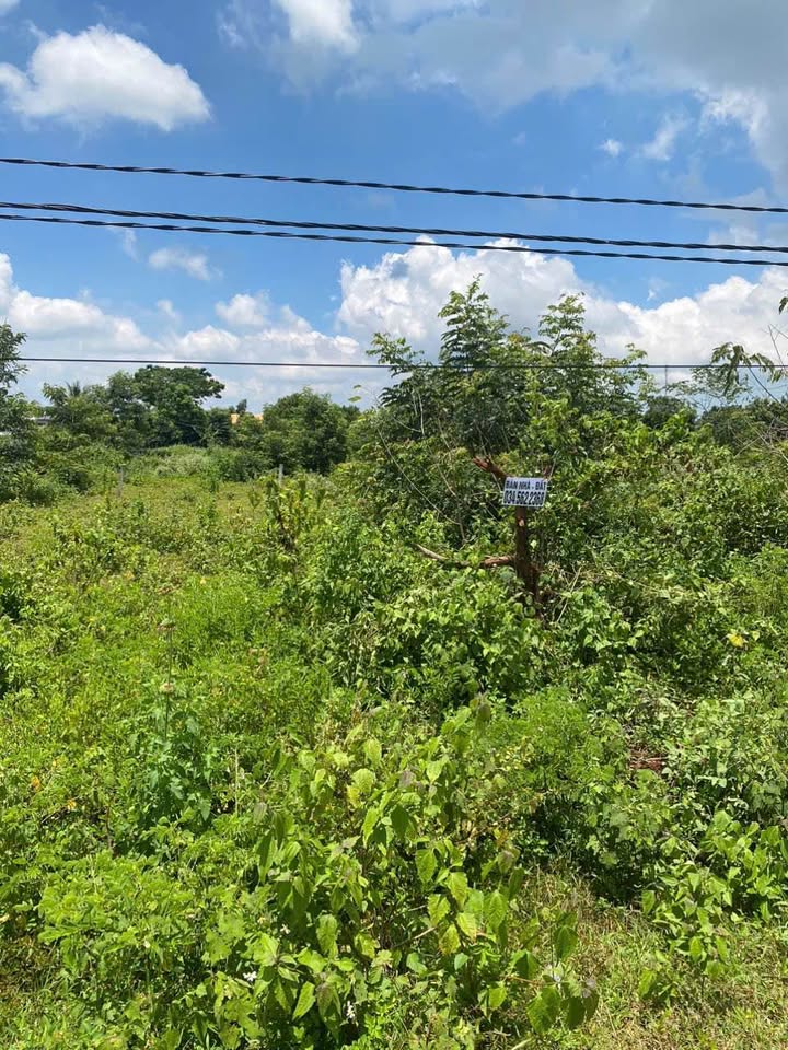 Siêu phẩm đất nền hot hòn họt tại Buôn Hồ, Đắk Lắk đây ạ