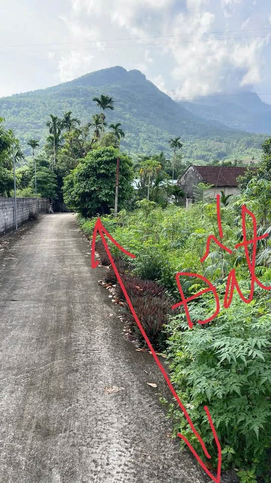 Đất view Núi Ba Vì ô tô chạy thoải mái, sổ đỏ rõ ràng, giá hời