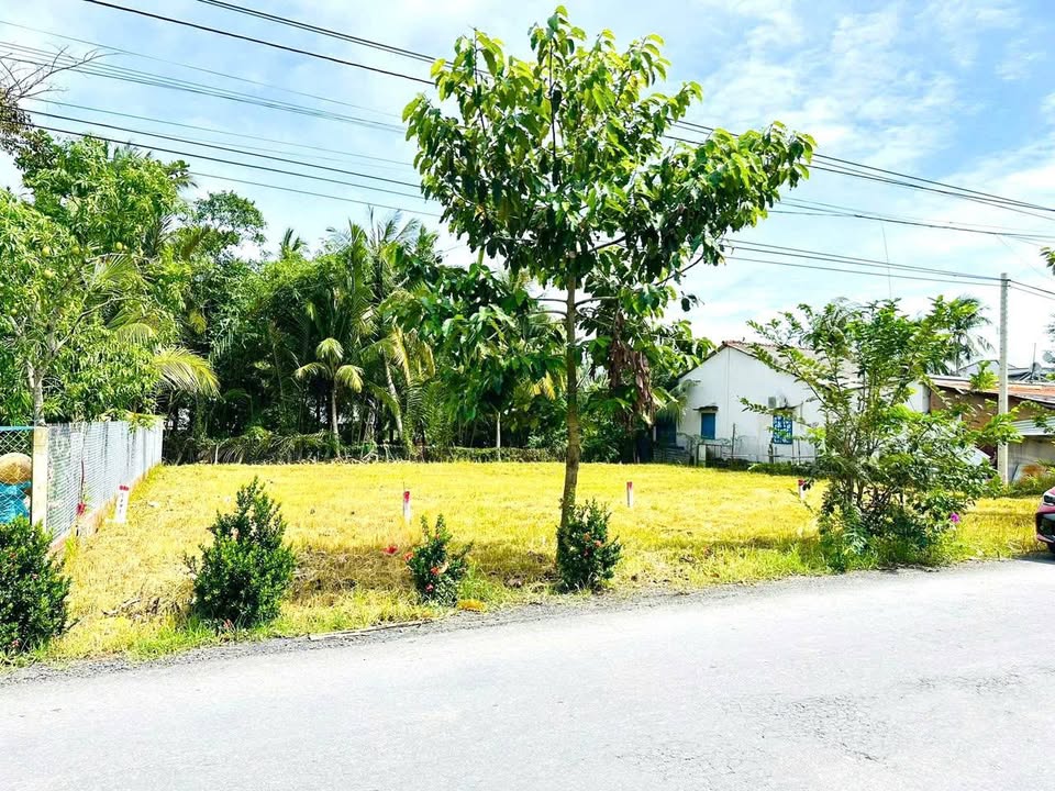 Bán đất nền mặt tiền Tỉnh lộ 909, Vĩnh Long - 610 triệu