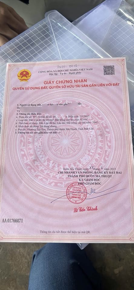 Đất Ymoan vuông vắn, nở hậu, sẵn sàng đón chủ mới