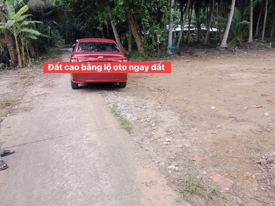 Bán nền đất Vĩnh Long 100m2 thổ cư, nở hậu, ô tô tới đất