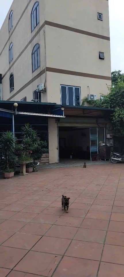 Khách sạn 1000m² trung tâm Lương Sơn, Hòa Bình