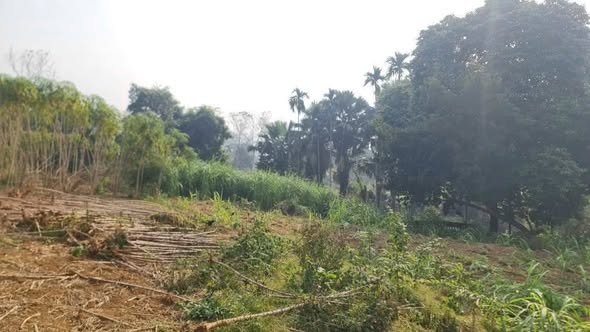 Mảnh đất vàng 3,288m2 tại Thôn Nội, Minh Quang, cơ hội đầu tư sinh lời hấp dẫn