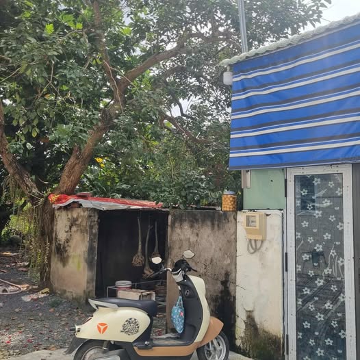 Cần bán gấp lô đất thổ cư vuông vắn tại xã Tân Hiệp, huyện Hóc Môn, Thành phố Hồ Chí Minh