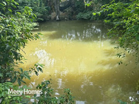 Cho thuê vườn 7 sào có nhà, suối, ao tại Long Phước, Long Thành, Đồng Nai