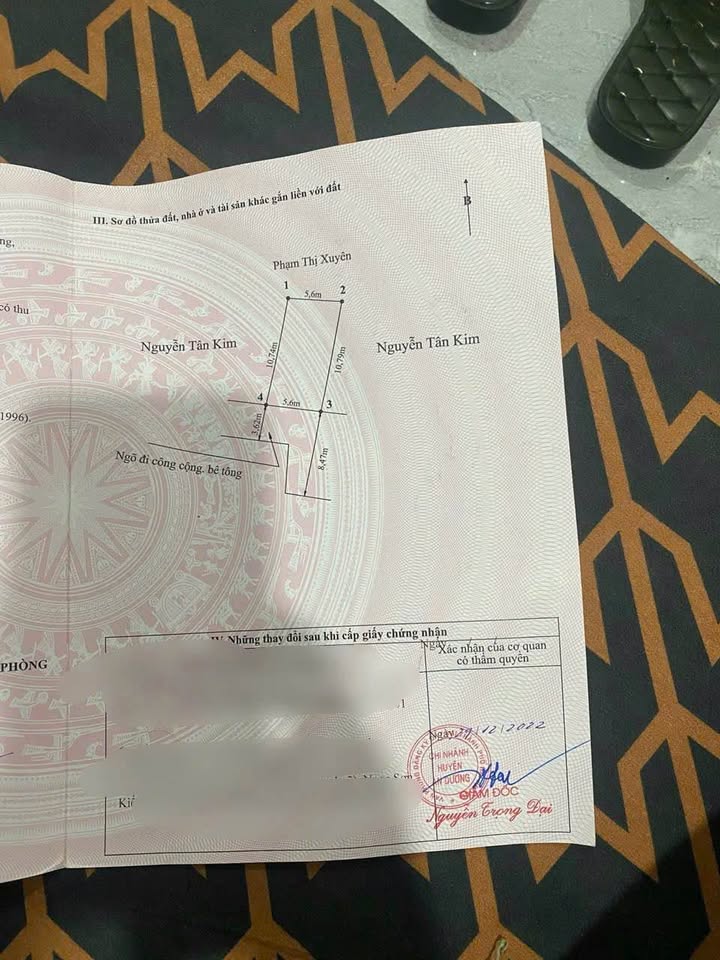 Đất Lương Quy 60m2, ngang 5,6m, hướng Nam, giá đầu tư chỉ 1,3 tỷ