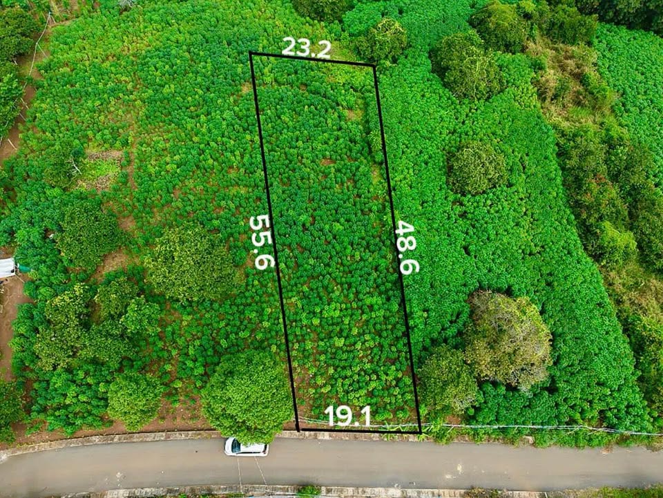 Bán đất vườn 1000m2 nở hậu đẹp tại Hòa Hội, Xuyên Mộc, Bà Rịa, Vũng Tàu