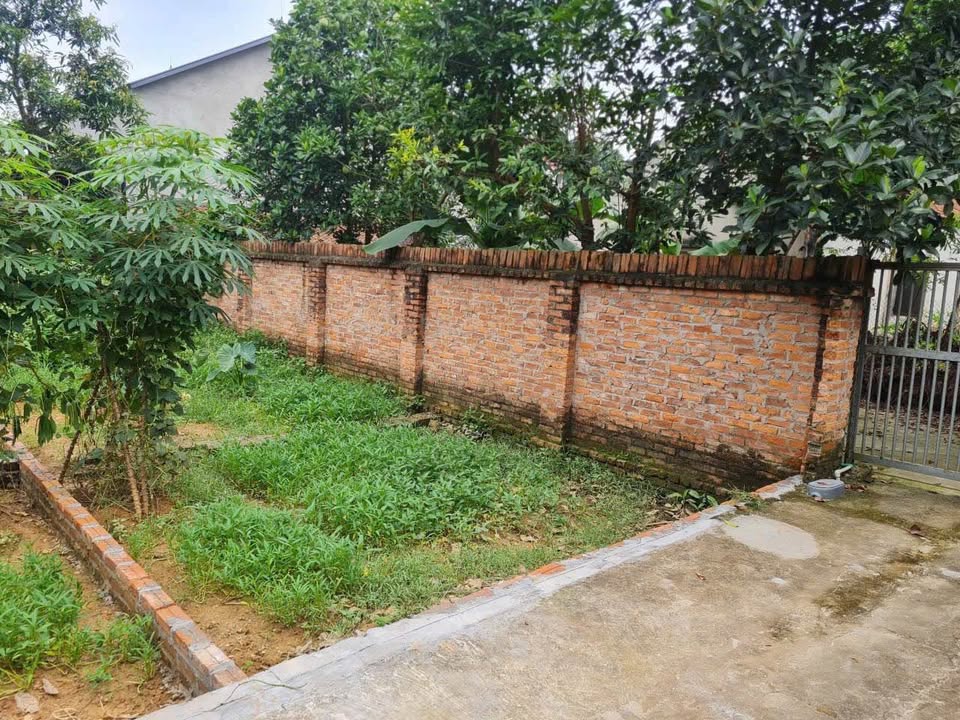 Bán đất 81m2 tại Sóc Sơn, Hà Nội, sổ đỏ sạch, pháp lý rõ ràng