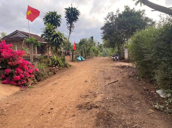 Lô đất siêu đẹp ngay gần chợ Krông Năng, Đắk Lắk, với diện tích 180m2