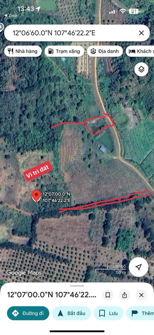 Đất vàng Dak Ha - 2.9ha cafe xanh mướt, sổ đỏ 1ha, đường ô tô tận nơi