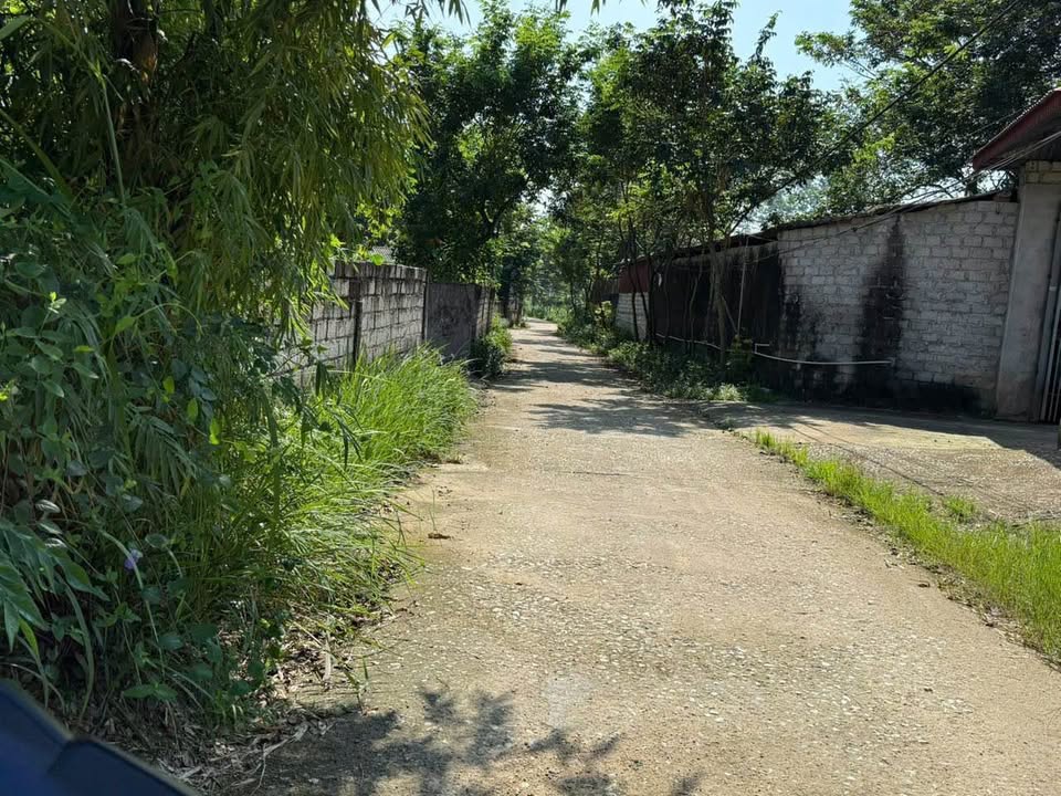 Chào mừng quý vị đến với thiên đường nghỉ dưỡng Tam Đảo