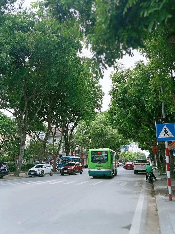 Đất mặt phố Âu Cơ 120m², ô tô tải tránh, vị trí 'vàng' đối diện Công viên Nước Hồ Tây