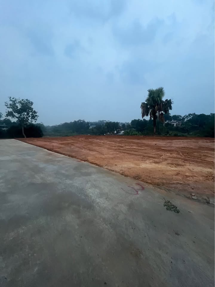 Đất xịn 244m2, ô tô vào tận nơi, giá chỉ 800 triệu