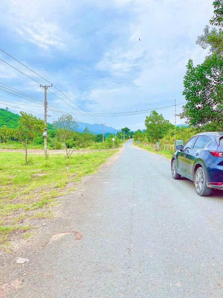 Đất vàng mặt tiền Tỉnh Lộ 8C, tiềm năng sinh lời vượt trội