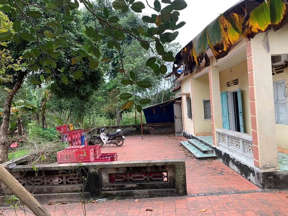 Chào mừng đến với chốn an cư lý tưởng tại Khu 4 Việt Hưng, Hạ Long