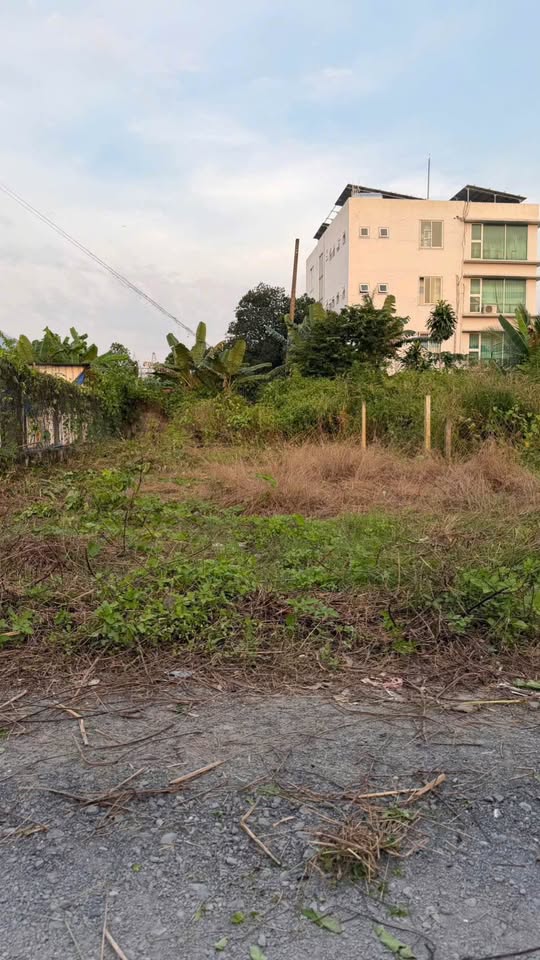 Đất Ninh Sơn 125 triệu/m ngang, đường ô tô thông, dân cư đông đúc