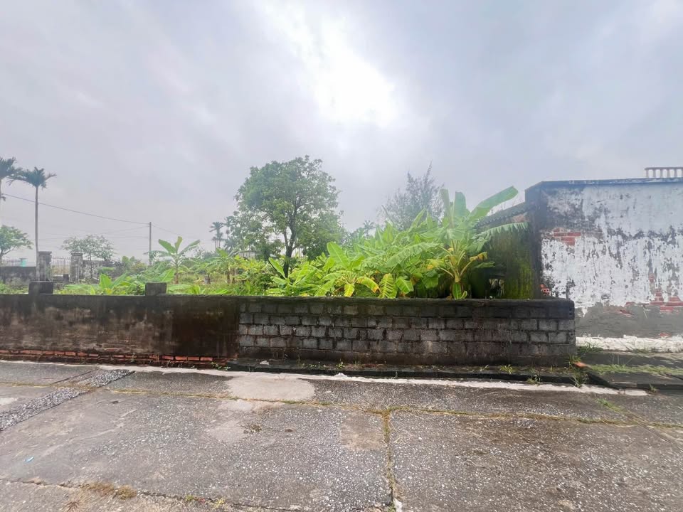 Đất vàng Nam Phú, mặt tiền 5,35m, ô tô tránh, giá siêu rẻ