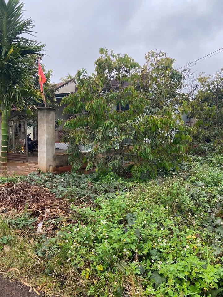 Mảnh đất vàng Krông Năng, cơ hội đầu tư sinh lời không thể bỏ lỡ